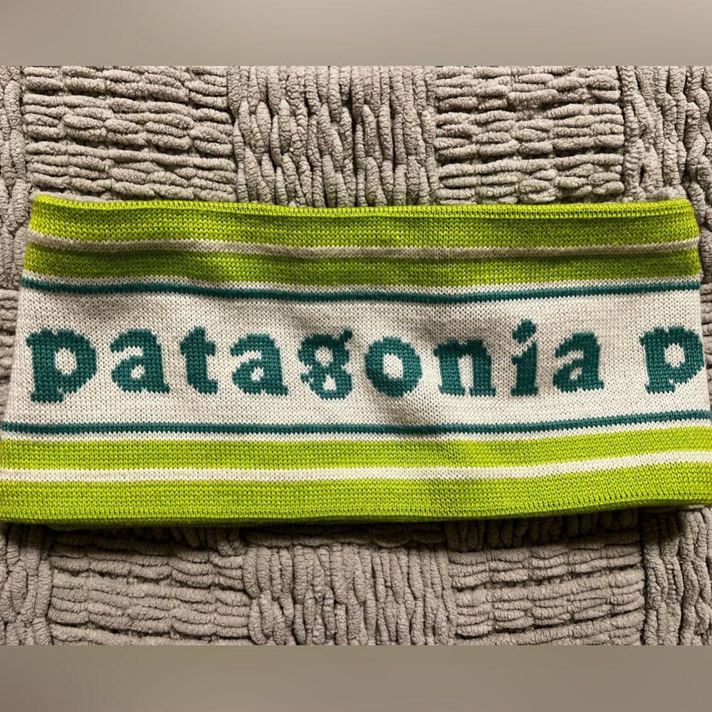 Patagonia Winter Headband